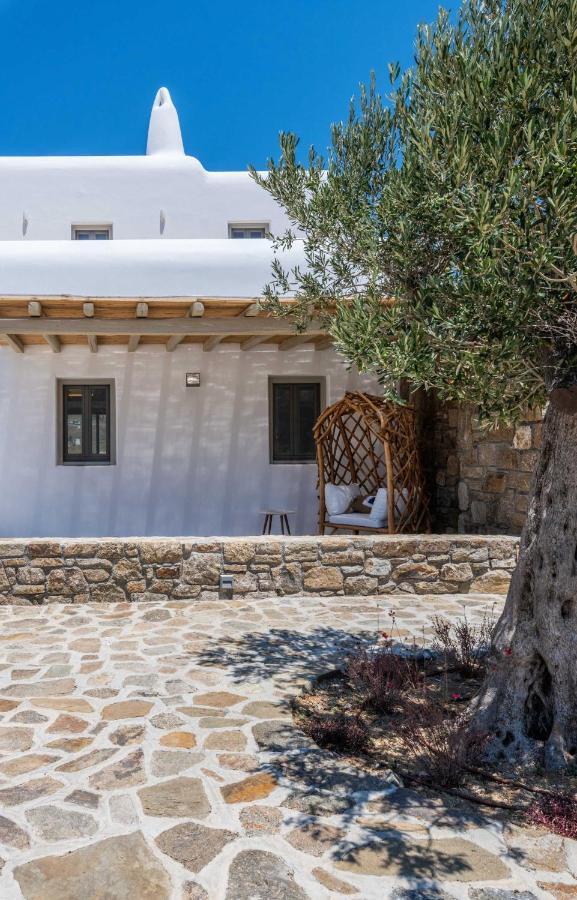 Mykonos Ag Villas In Ftelia Beach Exterior foto